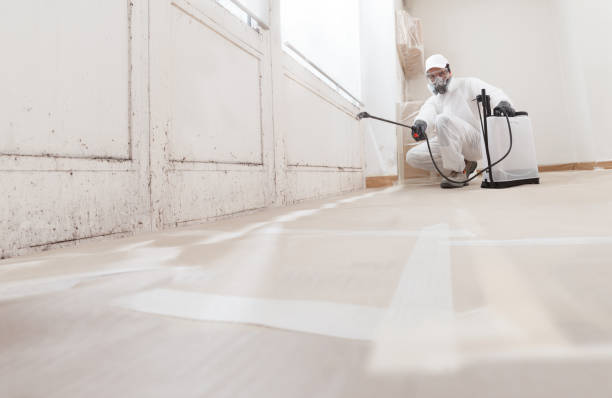 24/7 Emergency Mold Removal experts in Pennington, NJ